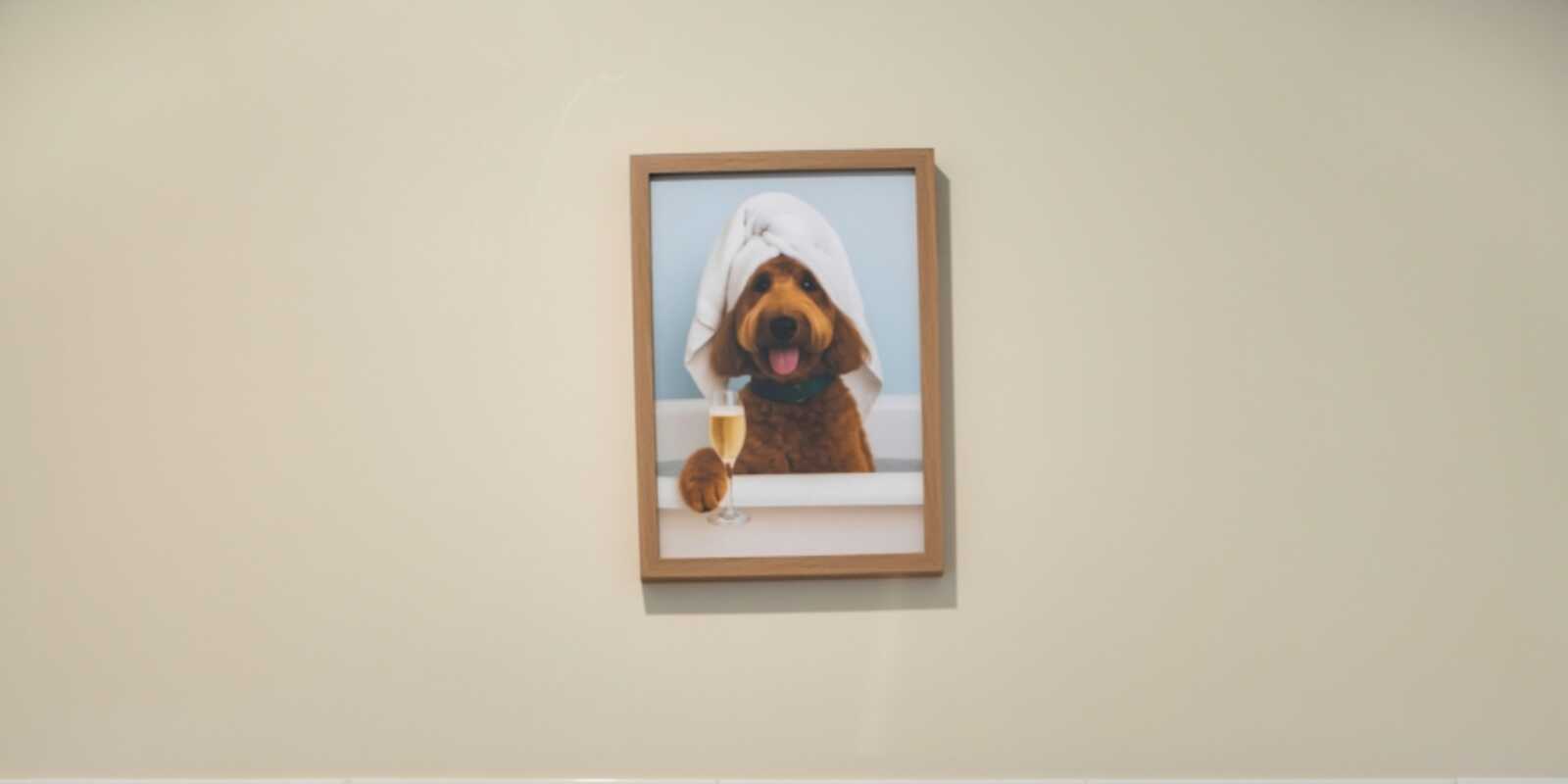 33 Minnamurra Drive Gregory Hills