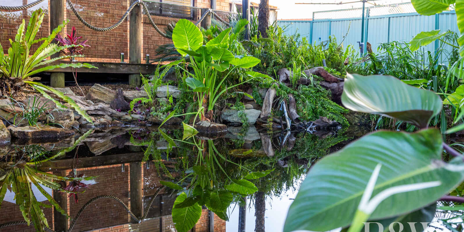 17 Ashton Close Eagle Vale