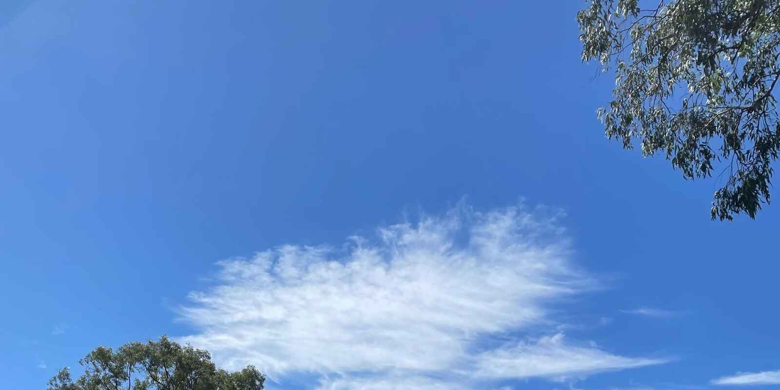 6 Sackville Street Ingleburn 6 Sackville Street Ingleburn